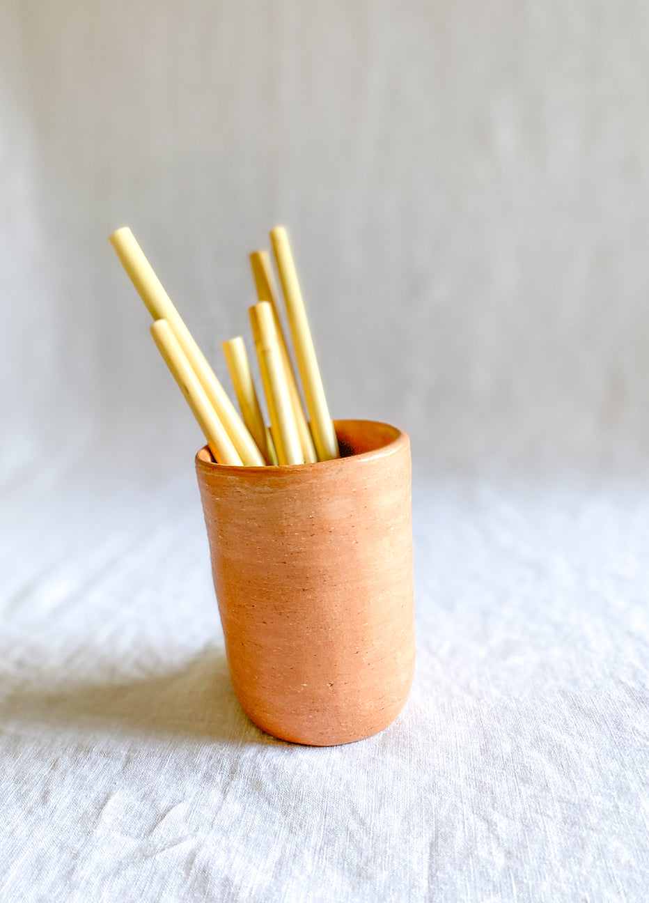 Hecho /  Cane Drinking Straws